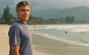 <i>The Descendants</i>: Clooney's Hawaiian punch