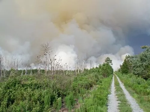 Great Dismal Swamp Fire