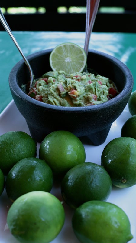 Guacamole at Cantina 1511 - ENID VALU