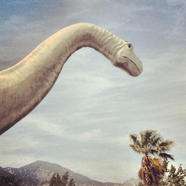 Is that a veiny brontosaurus head and neck or are you just happy to see me? Found in Cabazon, Calif.