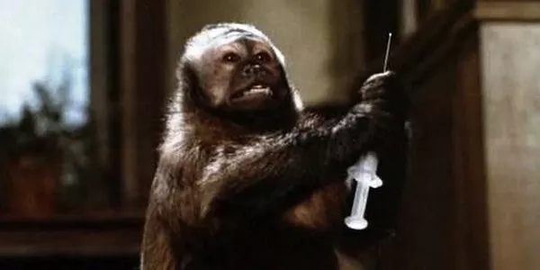 Monkey Shines (Photo: Shout! Factory)