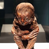 Mummies of the World exhibit