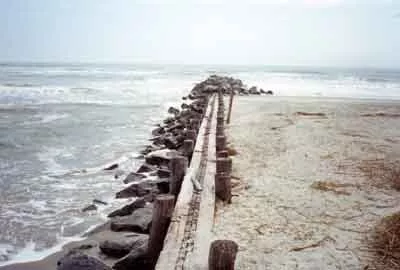 N.C. lawmakers want to bring these monstrosities to the state's beaches &#151; and they want you to pay for it