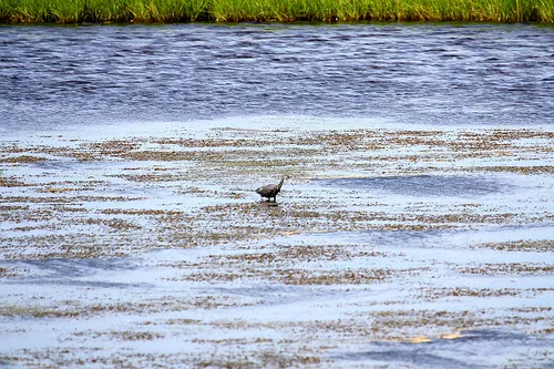 North Carolinas Outer Banks