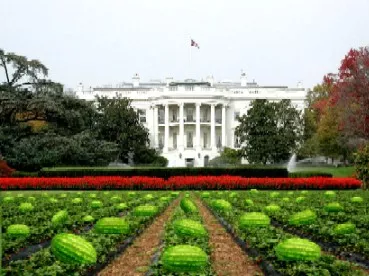 obama_watermelons-thumb-369x276