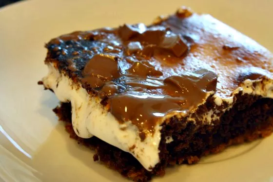 Ooey gooey smore brownies