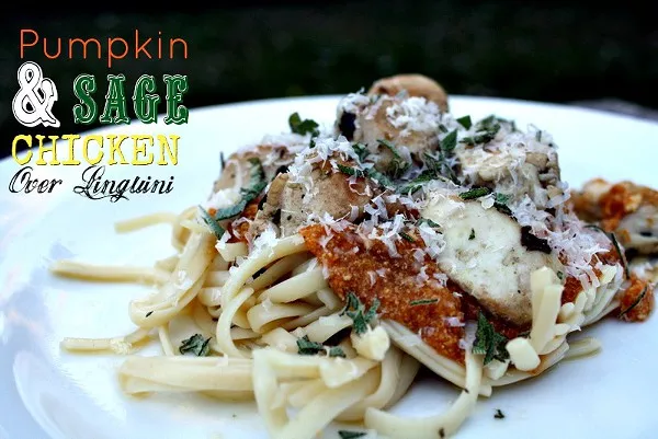 Pumpkin & Sage Chicken over Linguini