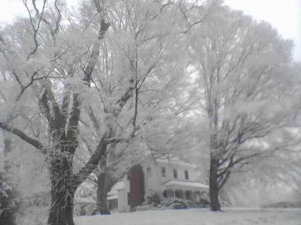 This photo, taken Feb. 16, shows the Richard Wearn House, which has withstood every major snowfall in recorded Charlotte history (as have the massive oaks surrounding it).