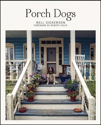 de0f6cfa_porch_dogs.jpg