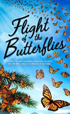 BUTTERFLIES.jpg