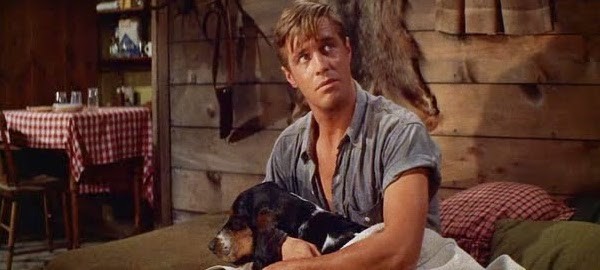 George Peppard in Home from the Hill (Photo: Warner)