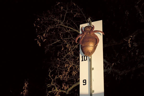 A 30-pound flea, which sounds like the thing of nightmares, is dropped on Flea Hill each year in Eastover to celebrate New Year’s. (Photo courtesy of The Town of Eastover)