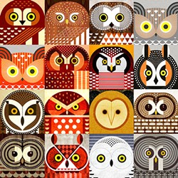 "North American Owls" by Scott Partridge