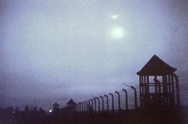 Night and Fog (Photo: Criterion)