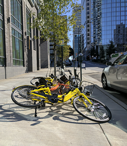 Dockless bikes on West 4th Street look as if they were kicked over. (Photo by Ryan Pitkin)