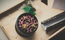 Tips for buying a quality grinder