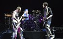 Things we overheard at the Red Hot Chili Peppers' Charlotte concert