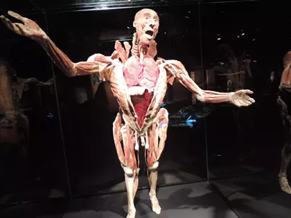 BODY WORLDS