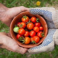 A case for gardening