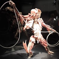 It's what's inside that counts at Discovery Place's Body Worlds