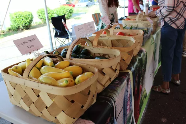 Just a bit of the selection from Sustainability Village at Rosa Parks Farmer Market. (Photo by Ryan Pitkin)