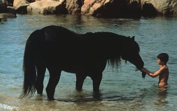 Kelly Reno in The Black Stallion (Photo: Criterion)