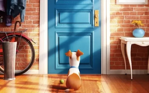 The Secret Life of Pets (Photo: Universal)