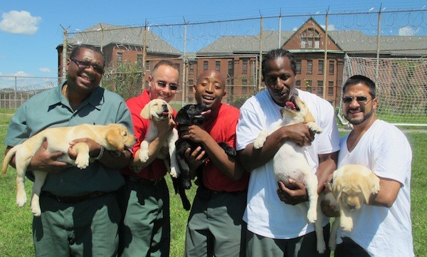 Prison Dogs (Photo: G2P2)