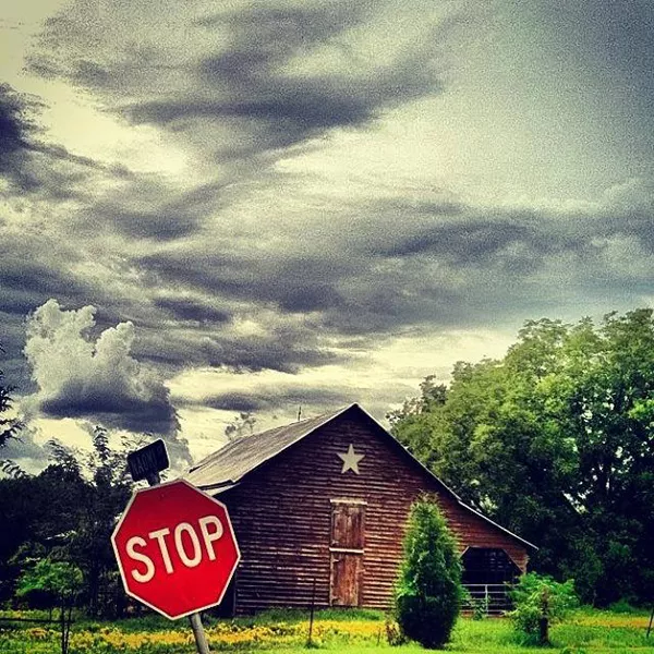The bucolic setting of 'Bohemian Grove.' (Photo by XOXO)