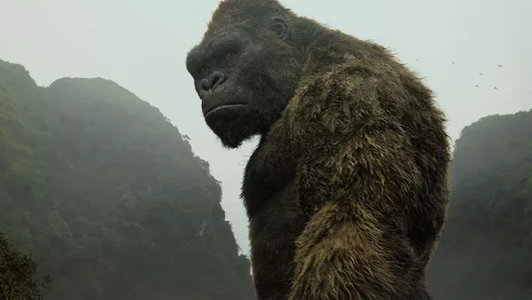 Kong: Skull Island (Photo: Warner)
