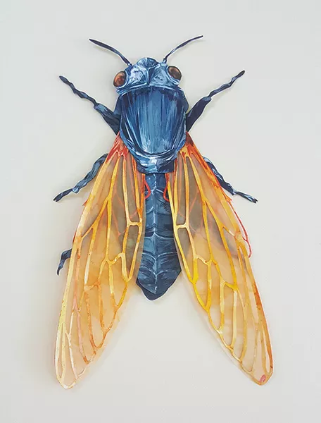 Elisa Sanchez' 'Cicadae Cutícula'