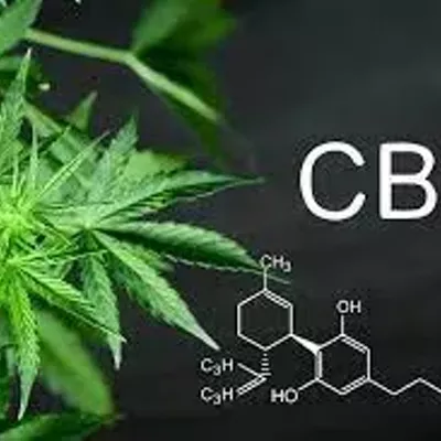 Does the extraction method affect the quality of CBD?: What’s there to know?