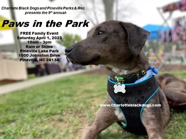 Paws in the Park - Vimarsana News