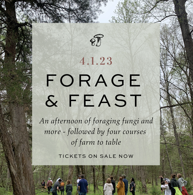 Forage & Feast at North Corner Haven - Vimarsana News