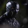 <i>Black Panther</i> springs into action