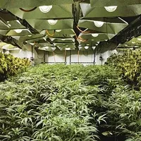 Hemp Manufacturing & Distribution Warehouse For Lease