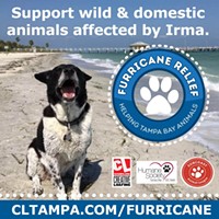 'CL' Tampa Bay Creates 'Furricane Relief' for Irma's Animal Victims