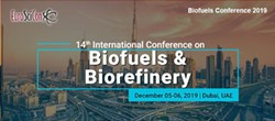 Uploaded by Biofuels Conference 2019