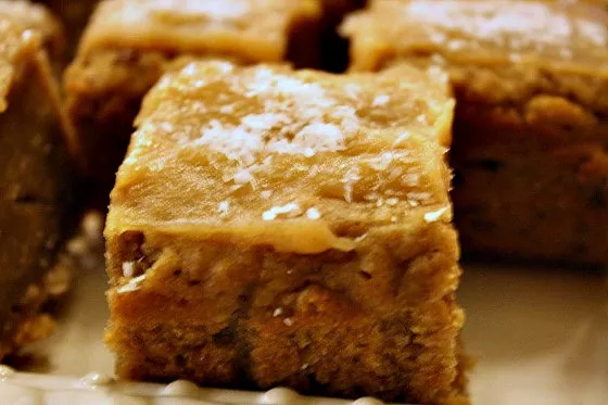 Vegan Peanut Butter Coconut Blondies