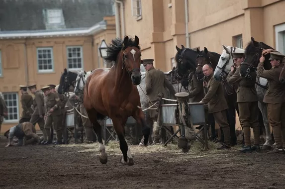 War Horse