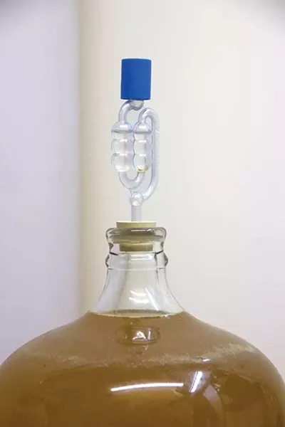 A five-gallon carboy with a test batch of mead.