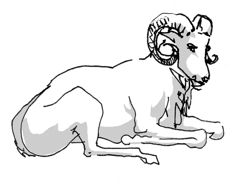 aries.jpg