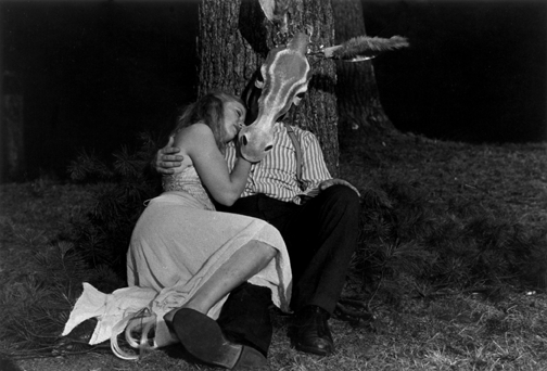 78_midsummer_night_dream.gif
