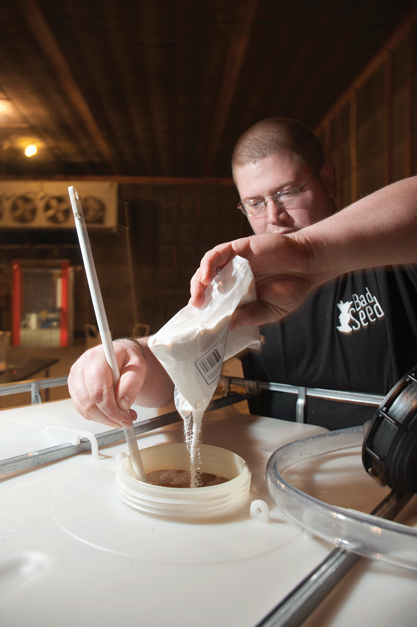Devin Britton of Bad Seed Cider in Highland adding pectic enzyme to 300 gallons of cider.
