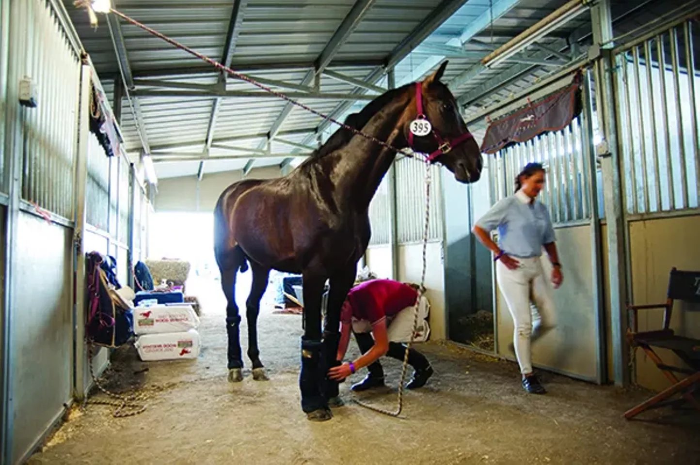 Horse Towns Outdoors Hudson Valley Hudson Valley; Chronogram