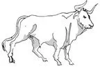 pw--taurus.jpg