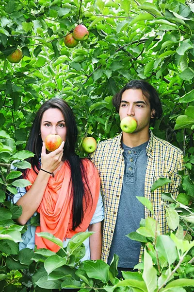 Jen Petronzio and John Romaro apple picking at Penning’s Farm in Warwick. - THOMAS SMITH