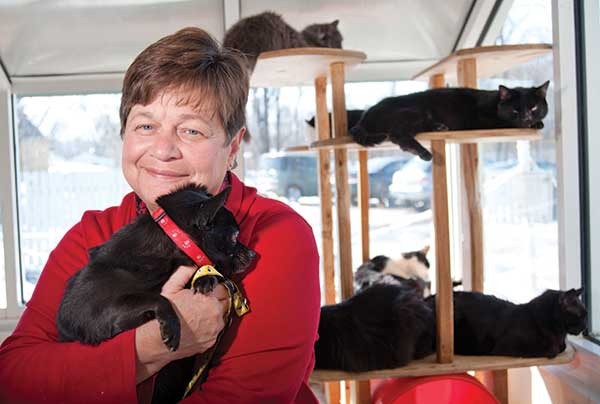 Joyce Garrity, executive director of the Dutchess County SPCA.