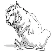 leo1.jpg