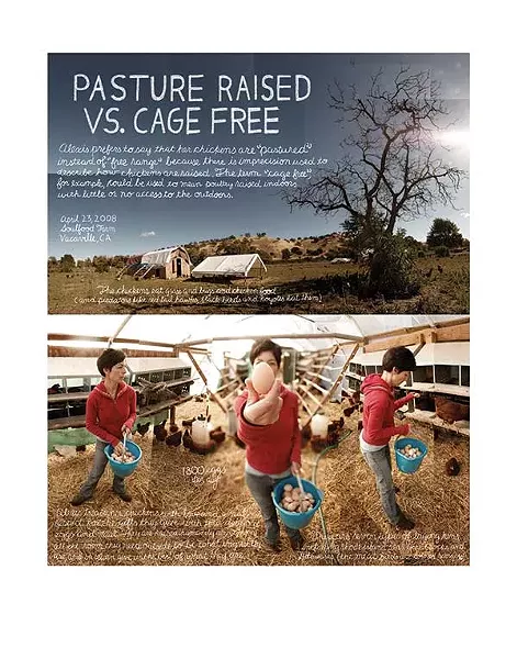 Pasture Raised Vs. Cage Free, Douglas Gayeton, photo collage, 2008